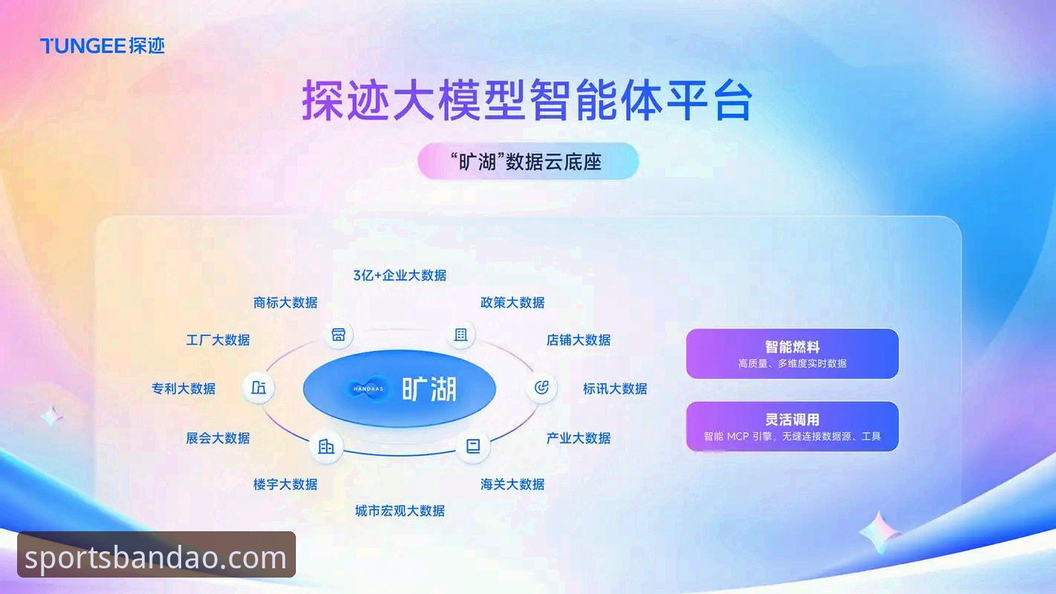 半岛平台官网创新之路：从数据服务到智能体育生态的深度分析